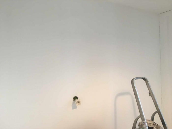 Réfection de peinture à Toulouse 